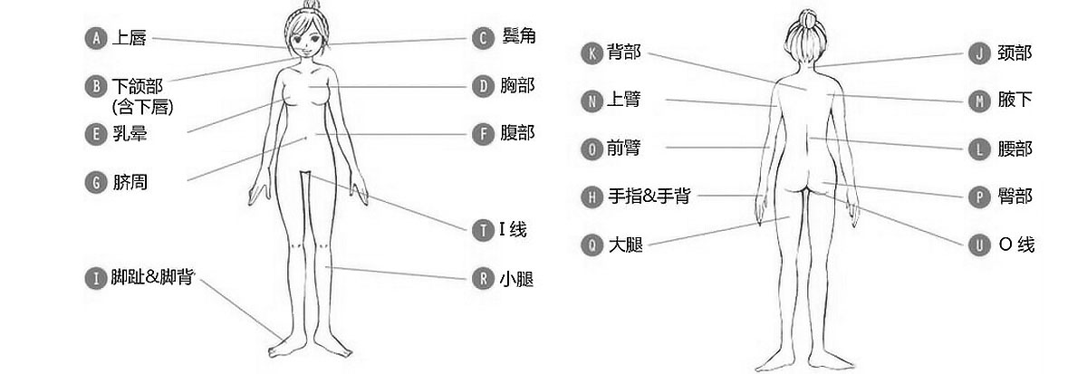 脱毛部位